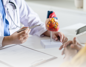 AVCs podem danificar o coração, mas controlar o sistema imunológico pode ajudar