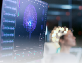 Cérebro Sendo Estudado