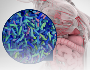 Bactérias intestinais saudáveis podem ajudar a combater o câncer em outras partes do corpo