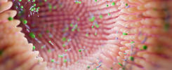 Microbioma Intestinal