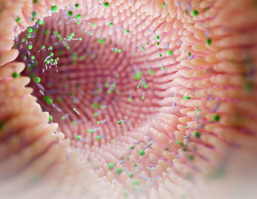 Microbioma Intestinal